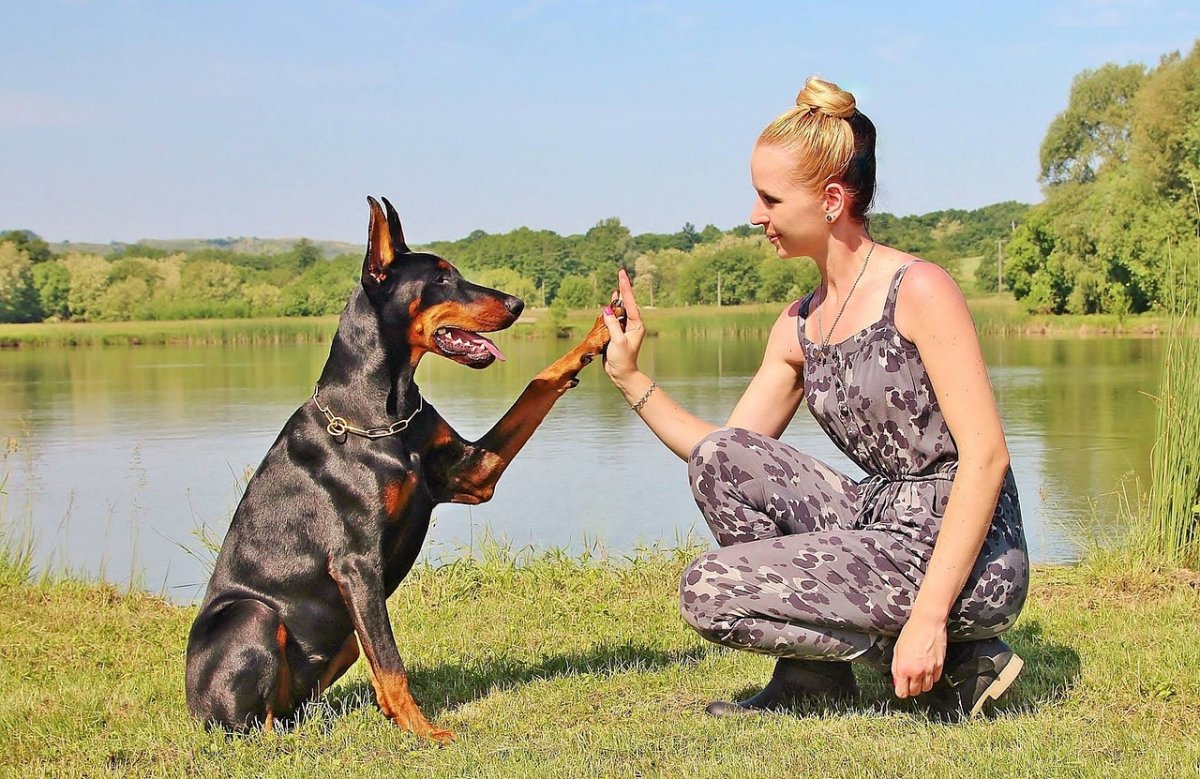 Astrologai atskleidė, kurios šunų veislės tinka kiekvienam zodiako ženklui