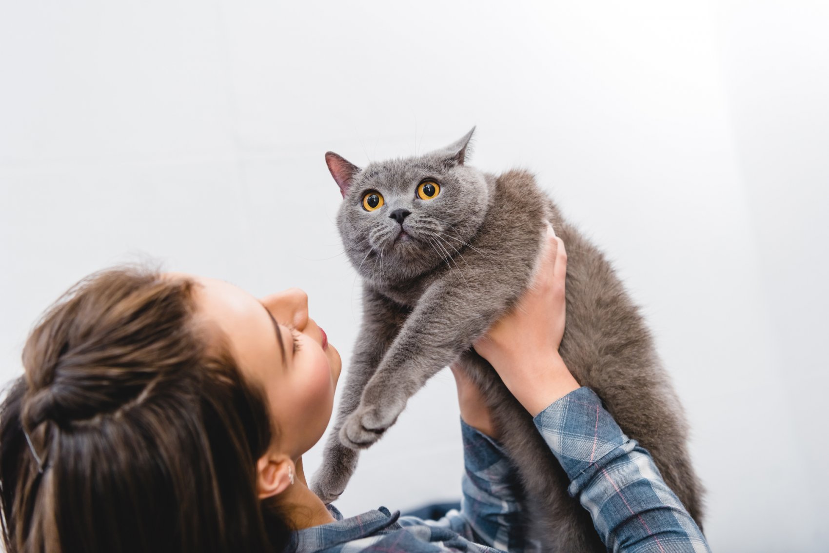 Puikiai tinka: kokios kačių veislės tinka kiekvienam zodiako ženklui