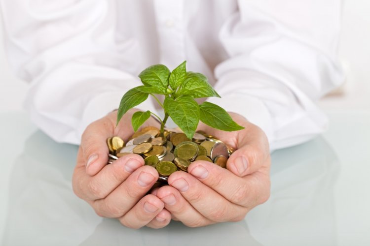 Zodiako ženklai, susiję su finansine gerove